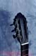 Shaped Ebony Peghead with AllBlack Gilbert Tuners