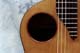 Standard Concert Grand Rosette in Cocobolo