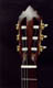 Shaped dark bookmatched Cocobolo with Gotoh Tuners