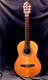 Grand Recitalist in Cocobolo/Cedar